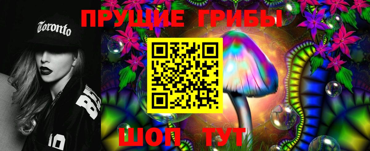 Артёмовский  Галлюциногенные грибы Cubensis  что такое наркотик  Вход с VPN 