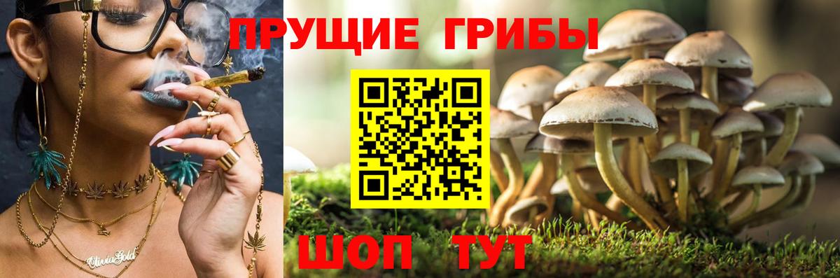 Псилоцибиновые грибы ЛСД Артёмовский