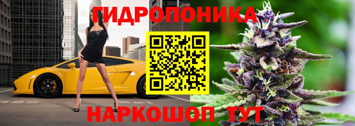 Артёмовский  Бошки Шишки семена  Бошки марихуана планчик  Вход с VPN 